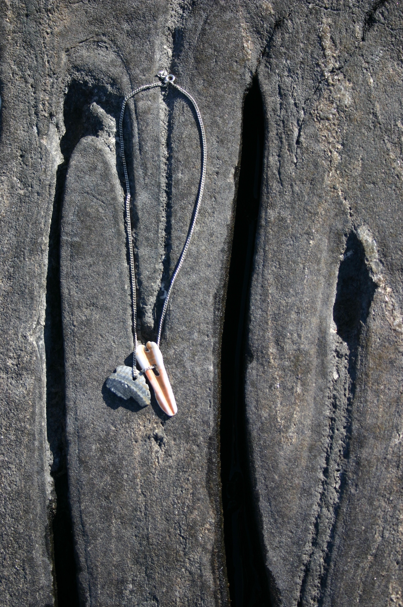 sea shells on silver chain
