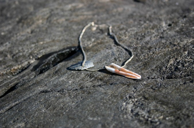 sea shells on silver chain